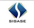 SIGASE INFOTECH SOLUTIONS PVT.