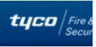 TYCO FIRE & SECURITY INDIA 