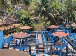 images