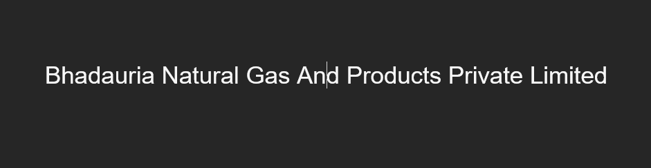 Bhadauria Natural Gas And Products Priva